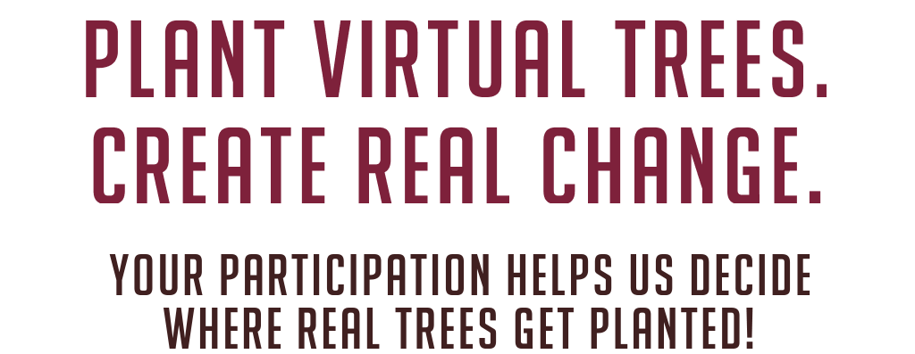 Text Image